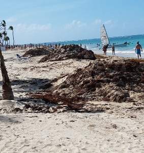 baustelle_____punta_cana_11_283x300_449.jpg - Bericht RIU Palace Punta Cana vor Renovierung Oktober 2017