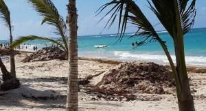 Baustelle Punta Cana (15) (300x163).jpg