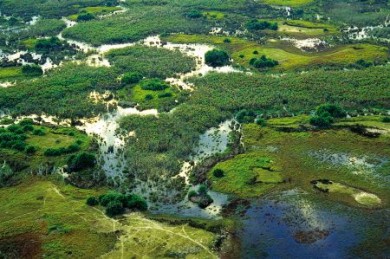 Das Okavango-Delta in Botswana: einer der Hauptanziehungspunkte für Naturliebhaber im südlichen Afrika. (Foto: djd/Botswana Department of Tourism) Okavango-Delta