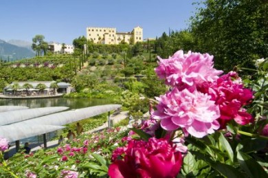 Meran