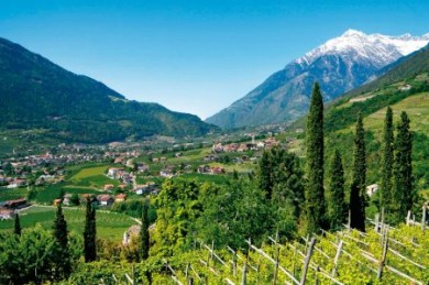 Berge