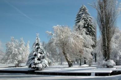 Winter - Schneelandschaft Winter - Schneelandschaft