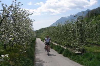 Radreise in Südtirol