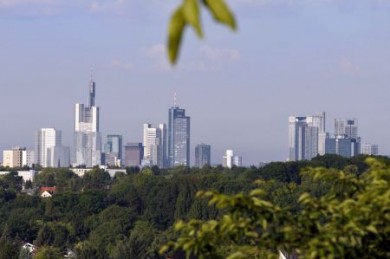 Vom Lohrberg aus hat man eine gute Sicht auf Frankfurts "grünen Gürtel" im Schatten der Skyline.