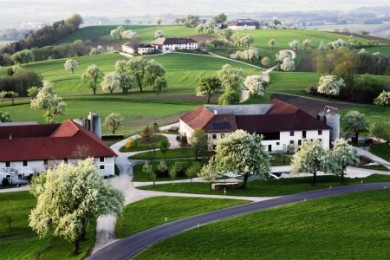 Wie hier bei Euratsfeld führt die Moststraße durch eine zauberhafte Landschaft.