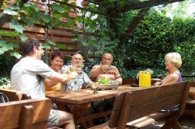 Bei vielen Weinbergsführungen werden kleine Weinproben direkt am Rebstock angeboten.In den schönen Straußenwirtschaften und Weingütern schmecken die sächsischen Tropfen besonders gut.