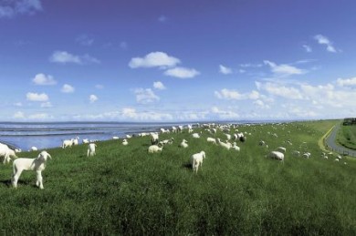 Direkt am Unesco-Weltnaturerbe Wattenmeer, zwischen dem Herzen Ostfrieslands und der Küste, liegt das idyllische Störtebekerland, das seinen Namen dem berüchtigten Seeräuber Klaus Störtebeker verdankt. 