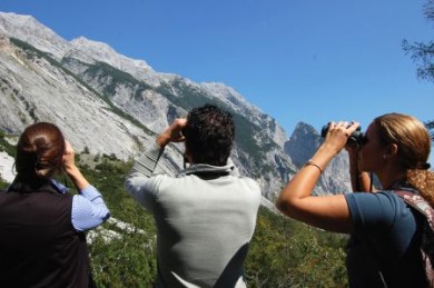 Mit leistungsstarken Ferngläsern kann man auch scheue Alpentiere in ihrem natürlichen Lebensraum beobachten. Mit leistungsstarken Ferngläsern kann man auch scheue Alpentiere in ihrem natürlichen Lebensraum beobachten.