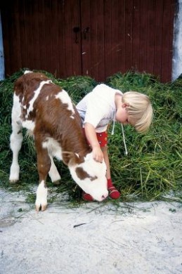Urlaub auf dem Bauernhof ist für Kinder immer ein ganz besonders Erlebnis.. Urlaub auf dem Bauernhof ist für Kinder immer ein ganz besonders Erlebnis..