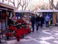 Die Blumenstnde auf der Via Roma hatten eine groe Auswahl an Weihnachtssternen.
