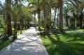 Im wunderschnen Palmengarten des Hotel RIU Palace Oasis.