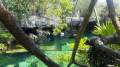 Cenote Cristallino.