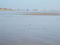 Der Strand vom RIU Chiclana. er ist so richtig breit und man kann ewig laufen. Der Sand ist ganz fein!