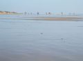 Der Strand vom RIU Chiclana. er ist so richtig breit und man kann ewig laufen. Der Sand ist ganz fein!