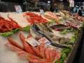 Im Mercado Olivar gibt es tollen frischen Fisch zu kaufen.