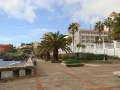Blick zur anderen Seite, die Palmen haben eine Umfassung mit Steinbnken. Alles in Nhe zum RIU Palace Madeira.