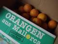 Eine 10 Kilo Kiste Orangen aus Mallorca kam heute 03.06.14 an. Bestellt ber Internet am 30.05.14.