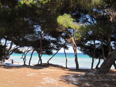 Strand Alcudia Can Picafort