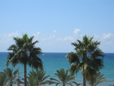 strand auf mallorca vor Hotel Cubido