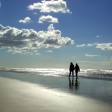 strandsingle