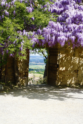 toscana